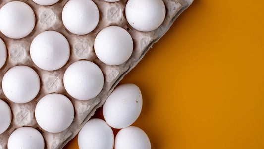 Comprendre l'intolérance aux œufs : symptômes, causes et gestion