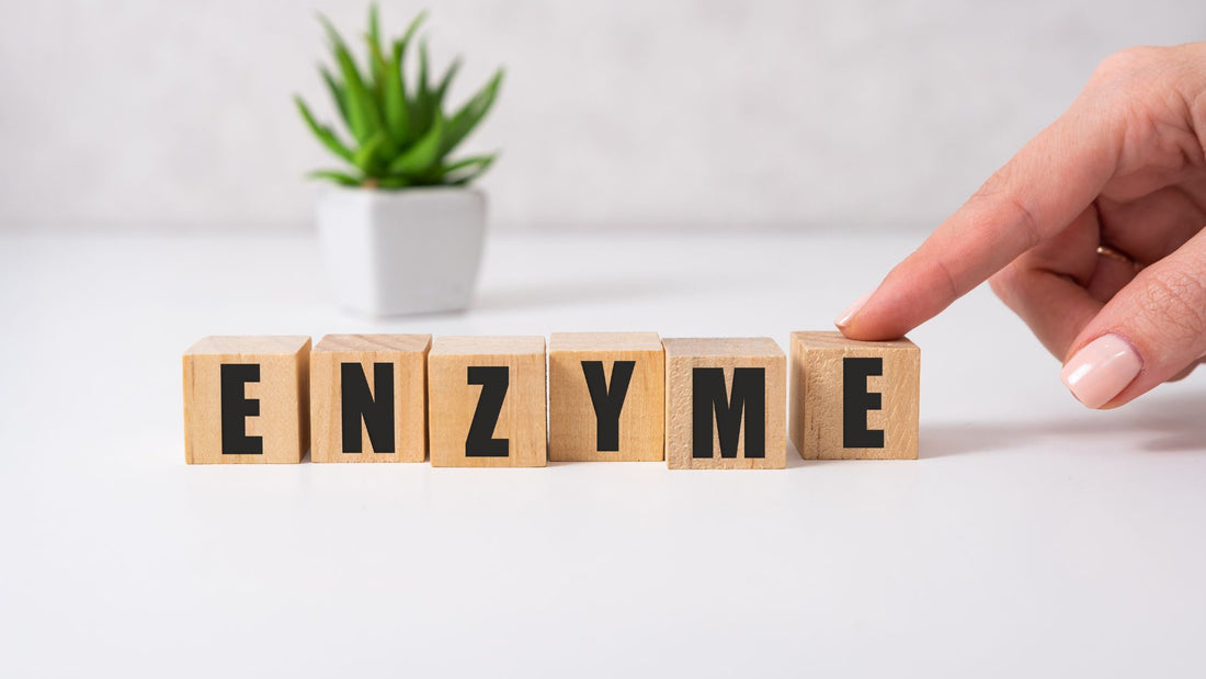 L'importance des enzymes digestives pour le syndrome de l'intestin irritable